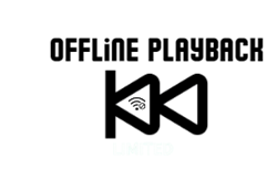 Offline playback